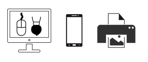Webdesign